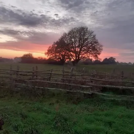 A L'ombre Du Figuier Holiday home Mezeray