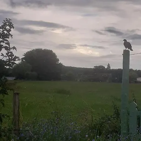 à L'ombre Du Figuier *