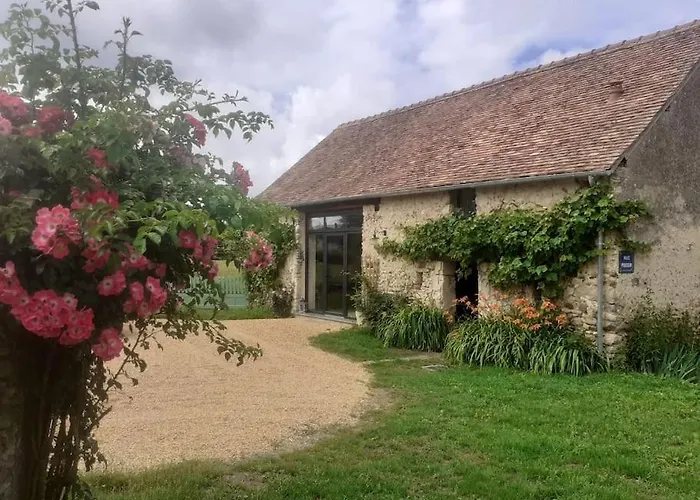 A L'ombre Du Figuier Mezeray